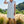 Load image into Gallery viewer, Luxe Stretch Cap Sleeve Dress
